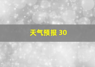 天气预报 30